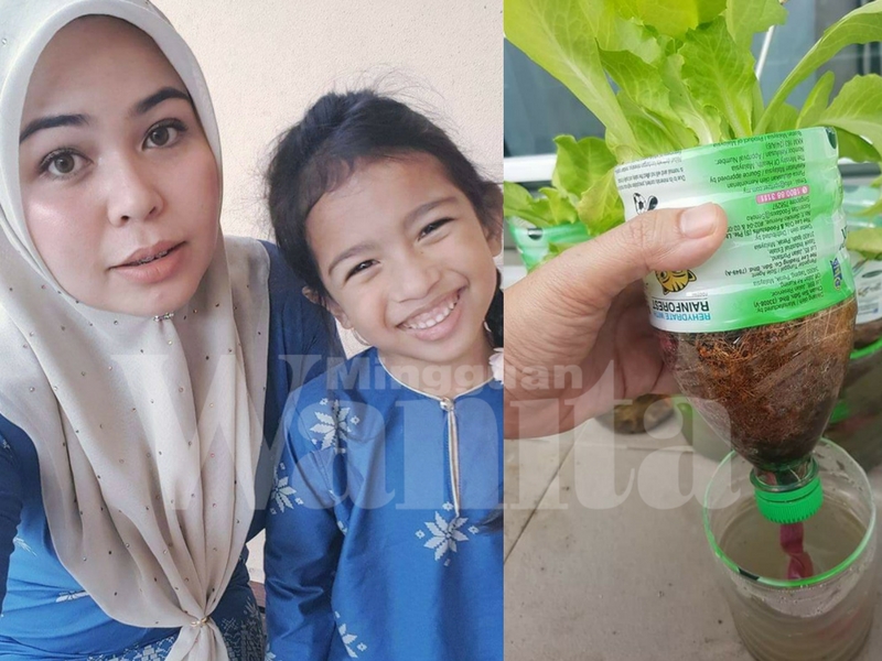 9 Langkah Tanam Salad Dalam Botol Mineral, Sesuai Untuk 